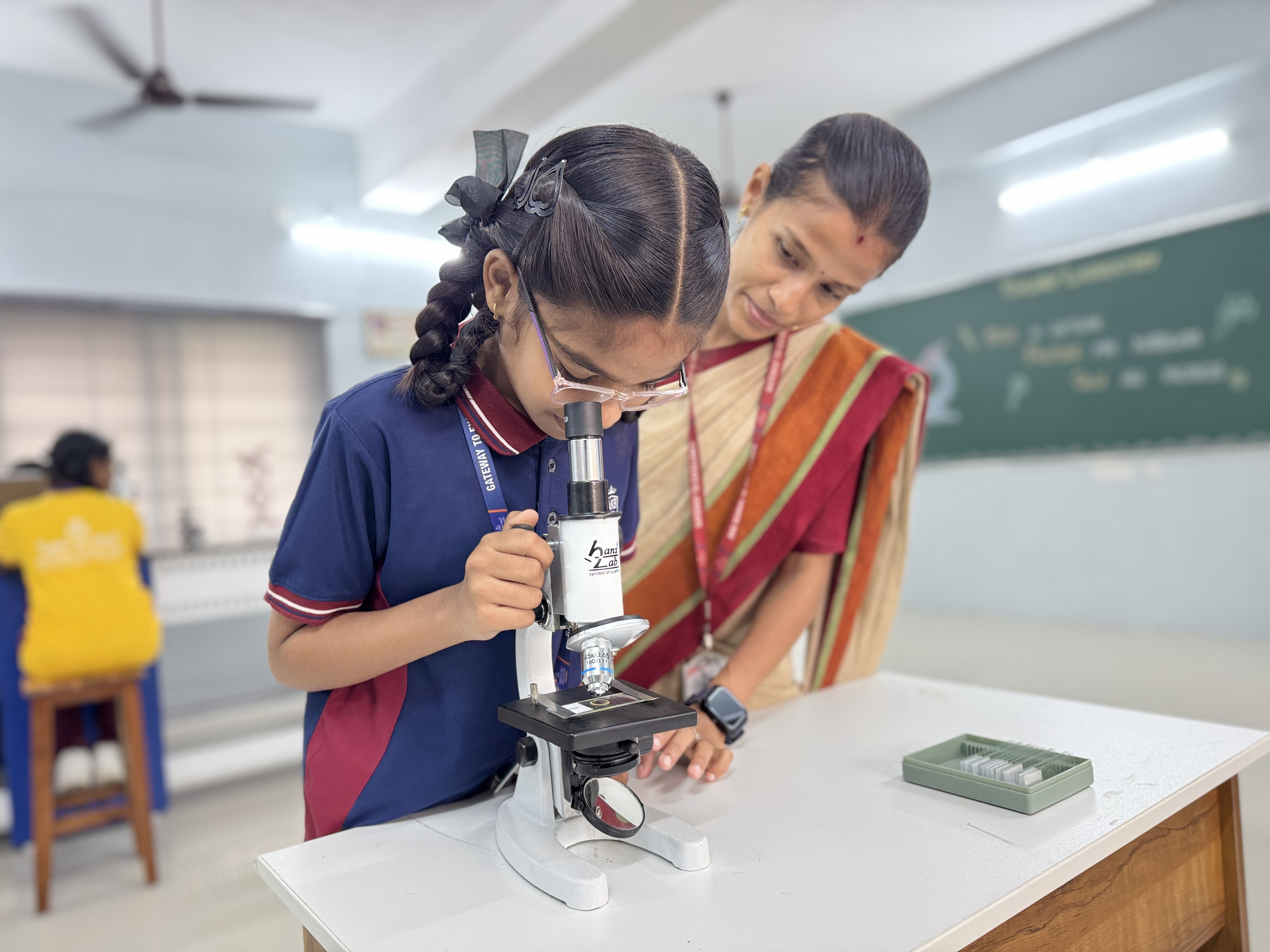 Expert Teachers